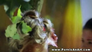 Két dögös csaj nyalja egymás punciját a természetben